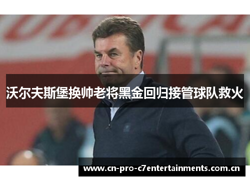 沃尔夫斯堡换帅老将黑金回归接管球队救火